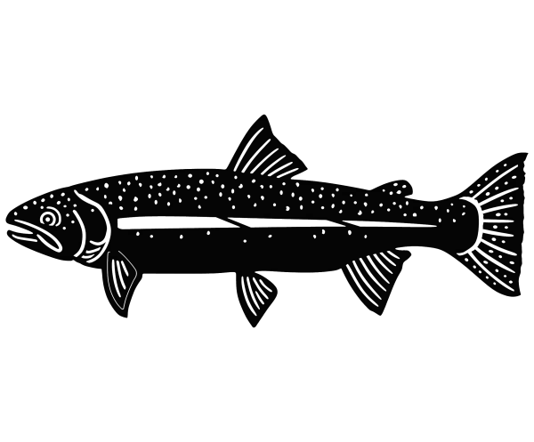 Flat silhouette of a steelhead trout crafted from 1/8-inch aluminum. The design features detailed cutouts representing the fish's scales and fins, with a sleek, artistic outline. The wall art has a natural aluminum finish, making it ideal for fishing-themed home décor. Displayed against a plain background.